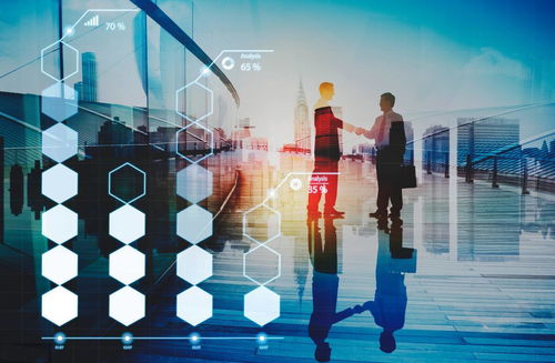 炎頌科技 企業(yè)信息化的內(nèi)涵與外延與信息技術(shù)咨詢服務