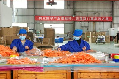 全國2000個產(chǎn)業(yè)帶備戰(zhàn)忙 天貓雙11帶給中小企業(yè)生意與信心